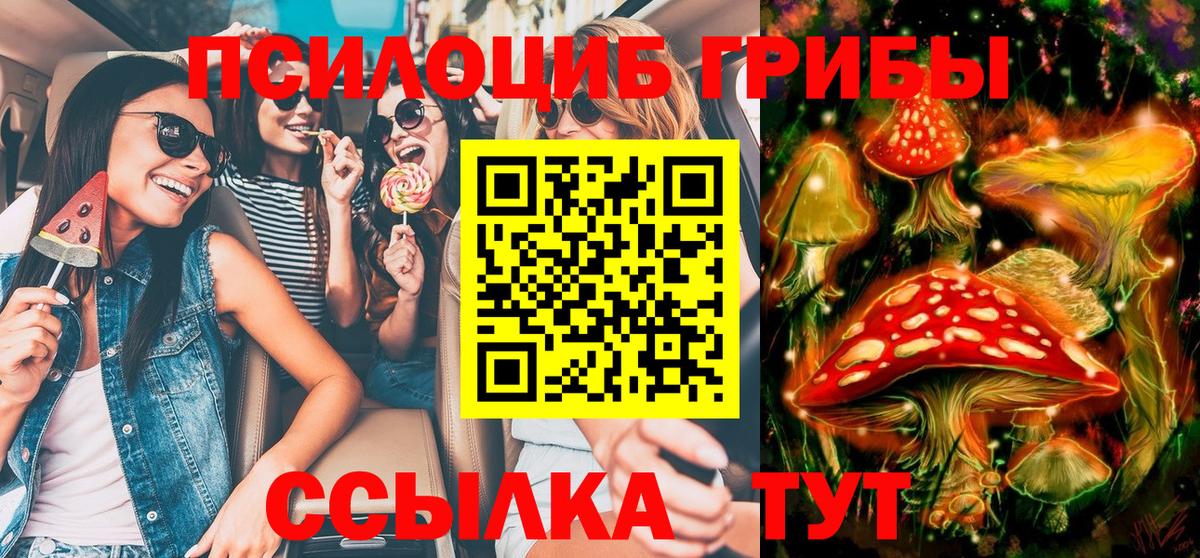 Псилоцибиновые грибы прущие грибы  наркошоп  Ялта  Псилоцибиновые грибы GOLDEN TEACHER  Вход с VPN 