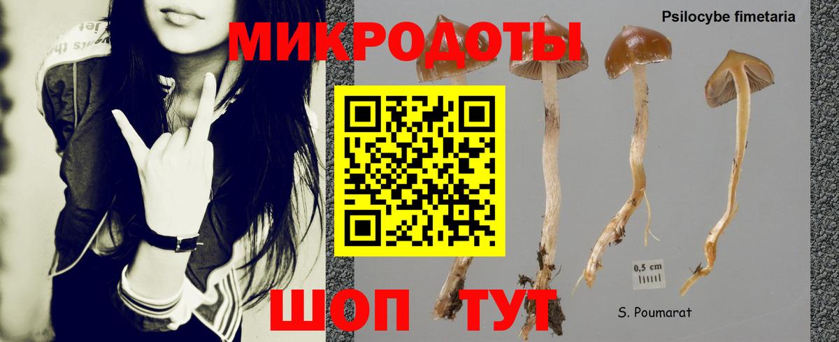 Псилоцибиновые грибы прущие грибы Ялта